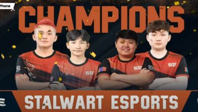 PUBG Mobile (PMPL) South Asia Championship Fall 2023 champion Stalwart Esports cover