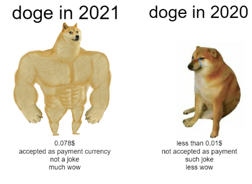 doge stronk 2021 m.